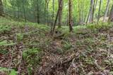 Lot 17 Lower Gap Road - Photo 10