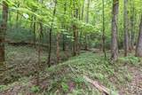 Lot 17 Lower Gap Road - Photo 11