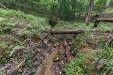 Lot 17 Lower Gap Road - Photo 13