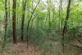 Lot 17 Lower Gap Road - Photo 14