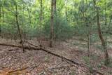 Lot 17 Lower Gap Road - Photo 16