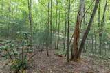 Lot 17 Lower Gap Road - Photo 17