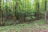 Lot 17 Lower Gap Road - Photo 4