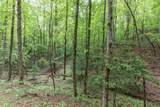 Lot 17 Lower Gap Road - Photo 6