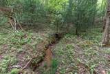 Lot 17 Lower Gap Road - Photo 8