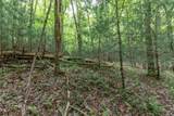 Lot 17 Lower Gap Road - Photo 9