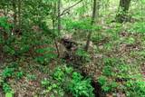Lot 119 Outlook Road - Photo 17