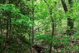 Lot 119 Outlook Road - Photo 18
