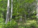 43 Tusquittee Crossing - Photo 10