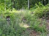 43 Tusquittee Crossing - Photo 3
