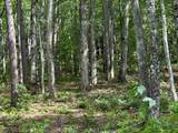 43 Tusquittee Crossing - Photo 4