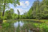 LT 19 Forest Ridge Drive - Photo 45