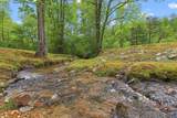 LT 19 Forest Ridge Drive - Photo 46