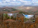 198 Hollow Log Trail - Photo 20