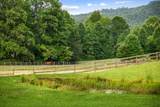 225 Cohutta Ranch Road - Photo 81