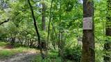 243 Chattahoochee Acres - Photo 77