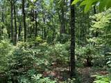 97 Concord Trail - Photo 36