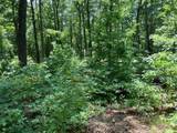 97 Concord Trail - Photo 38