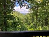 97 Concord Trail - Photo 42
