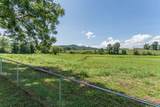 242 Deer Way - Photo 37