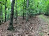 Lot 41 Floris Mountain Road - Photo 3
