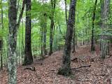 Lot 41 Floris Mountain Road - Photo 5