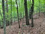 Lot 41 Floris Mountain Road - Photo 6