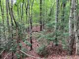 Lot 41 Floris Mountain Road - Photo 7