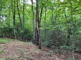 Lot 41 Floris Mountain Road - Photo 9