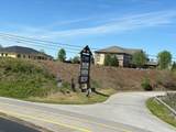 0 Blue Ridge Overlook - Photo 17