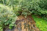 3421 Devils Den Road - Photo 5