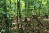 Lot 20 Skid Strip Lane - Photo 1