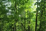 Lot 20 Skid Strip Lane - Photo 2