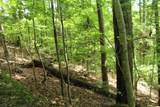 Lot 20 Skid Strip Lane - Photo 4