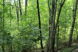 Lot 20 Skid Strip Lane - Photo 6