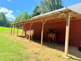 10809 Beaver Dam Road - Photo 44