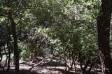 Lot 3 Riverbend Trail - Photo 5