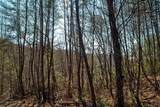 Lot 3 Riverbend Trail - Photo 9