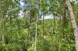 58 Whitetail Hollow - Photo 6