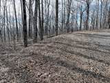 256 Blood Root Trail - Photo 29