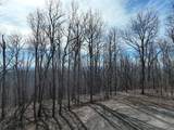 256 Blood Root Trail - Photo 39