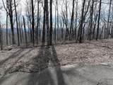 256 Blood Root Trail - Photo 40