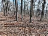 256 Blood Root Trail - Photo 41