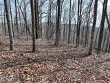 256 Blood Root Trail - Photo 42