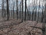256 Blood Root Trail - Photo 43