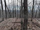 256 Blood Root Trail - Photo 44