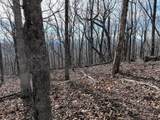 256 Blood Root Trail - Photo 45