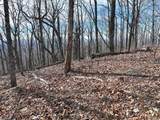 256 Blood Root Trail - Photo 46
