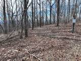 256 Blood Root Trail - Photo 48