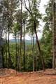 Lot 2 Big Creek - Photo 6